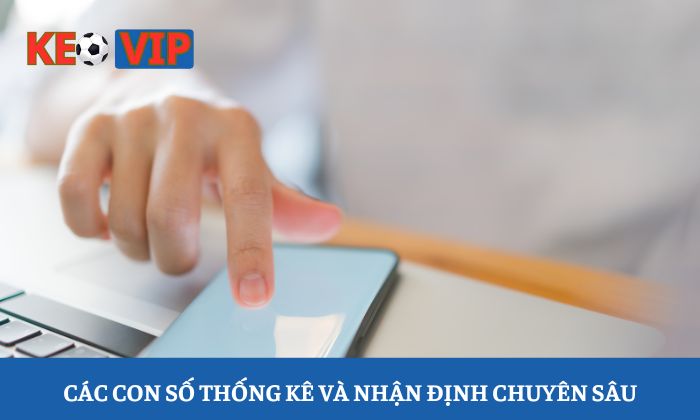 Điều khoản sử dụng