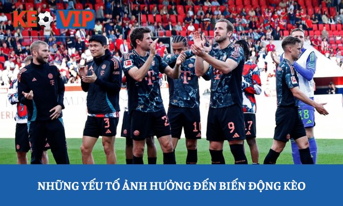 Những yếu tố ảnh hưởng đến biến động kèo