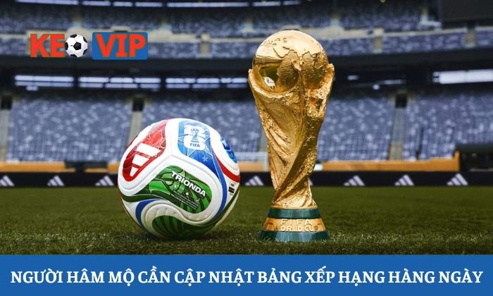 Lý do người hâm mộ cần cập nhật bảng xếp hạng bóng đá hàng ngày