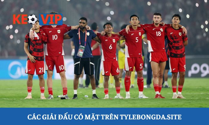 Các giải đấu có mặt trên tylebongda.site