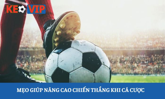 Cách cá độ bóng đá luôn thắng