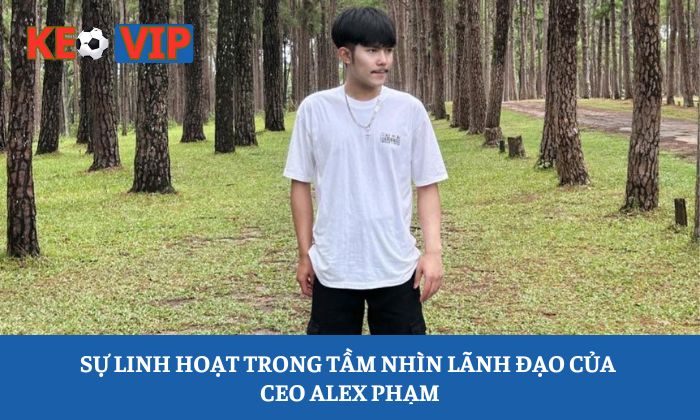 Sự linh hoạt trong tầm nhìn lãnh đạo của CEO Alex Phạm