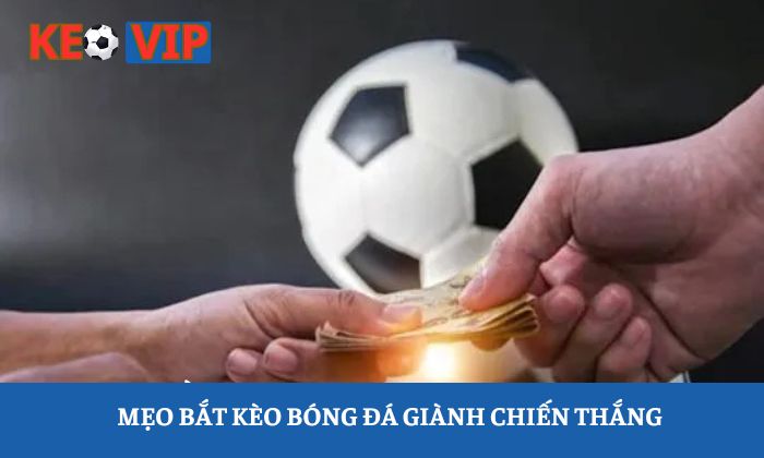 Chiến thuật đặt cược hiệu quả