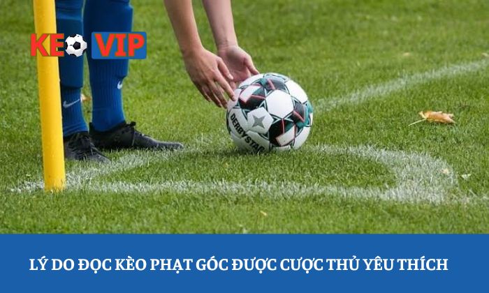 Lý do đọc kèo phạt góc được cược thủ yêu thích