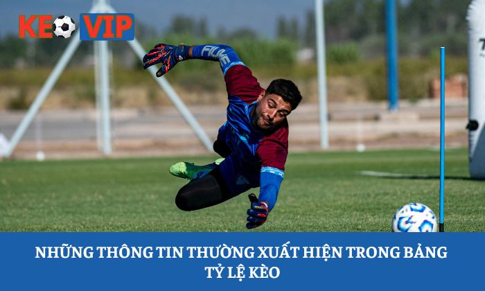Những thông tin thường xuất hiện trong bảng tỷ lệ kèo