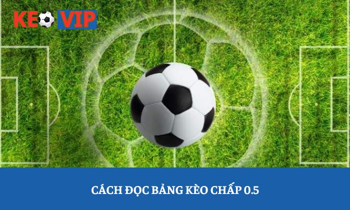 Kèo chấp 0.5 là gì? Cách đọc và xác định kết quả dễ hiểu 2 Cách đọc bảng kèo chấp 0.5