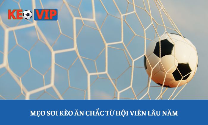 Mẹo soi kèo ăn chắc từ hội viên lâu năm