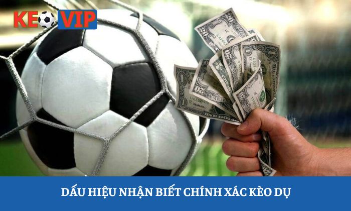 kèo dụ kèo dụ