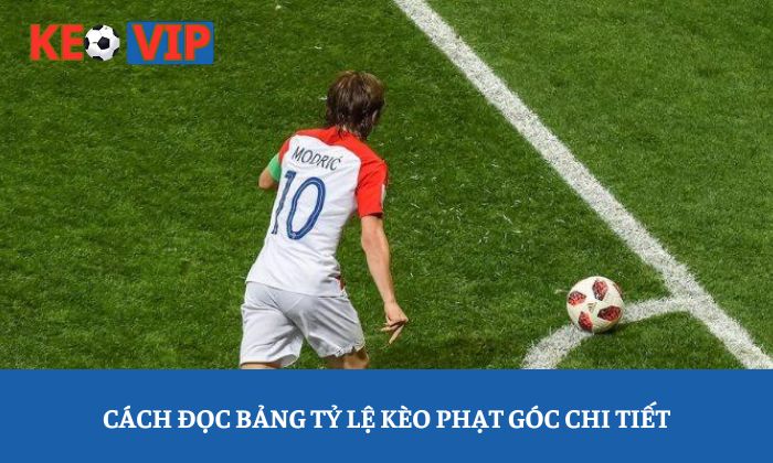 Cách đọc bảng tỷ lệ kèo phạt góc chi tiết