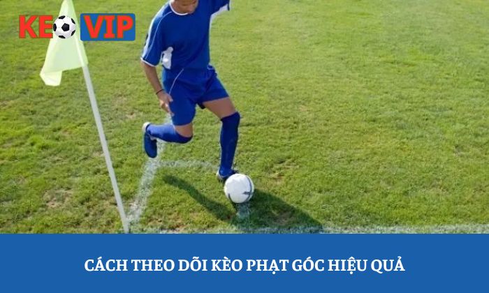 Cách theo dõi kèo phạt góc hiệu quả