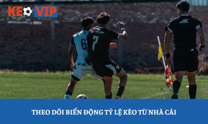 Theo dõi biến động tỷ lệ kèo từ nhà cái