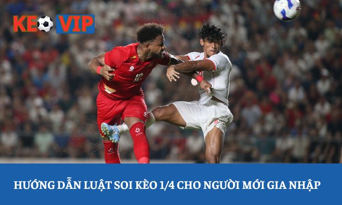 Hướng dẫn luật soi kèo 1/4 cho người mới gia nhập