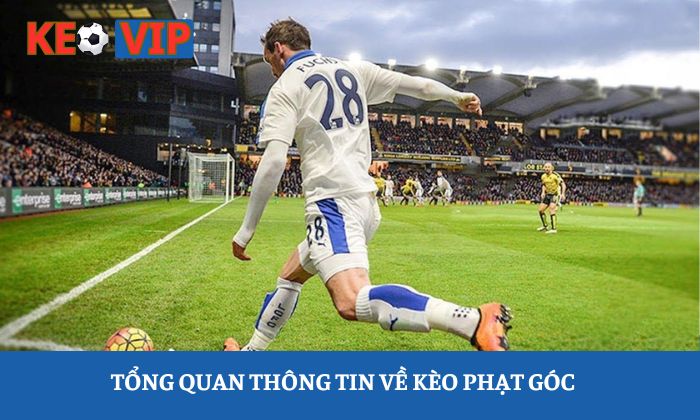 Soi kèo phạt góc