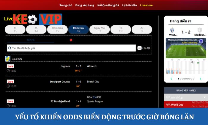 Trang chủ 8 Những yếu tố khiến odds biến động trước giờ bóng lăn